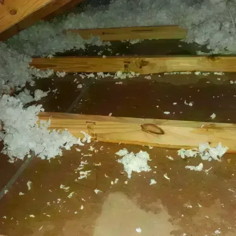 Attic Water Damage in Granite Quarry, NC