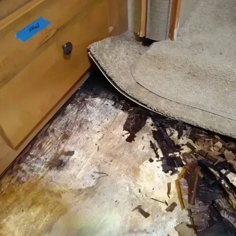 Best Wood Floor Water Damage Service in Granite Quarry, NC